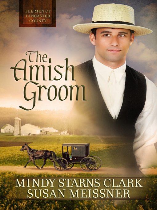Title details for The Amish Groom by Mindy Starns Clark - Wait list